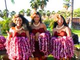 makapuu luau makapuu luau